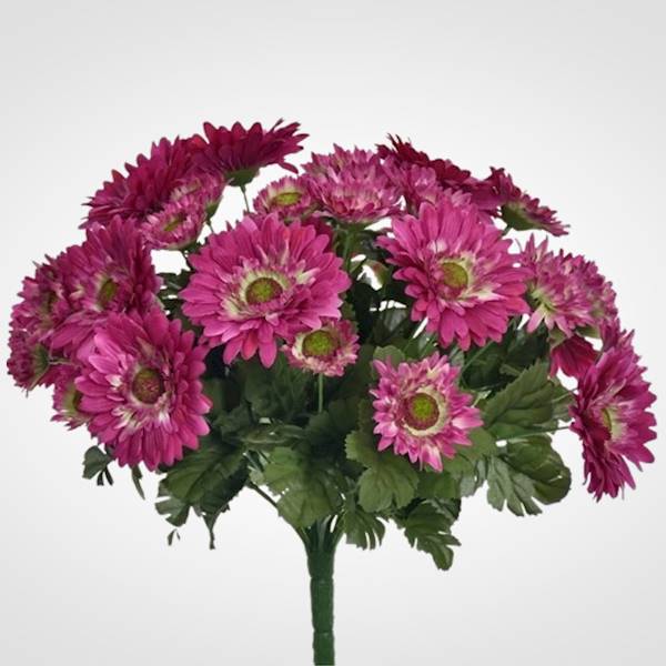 GERBERA BUKIET SUN650 MIX5 MIX KOLOR