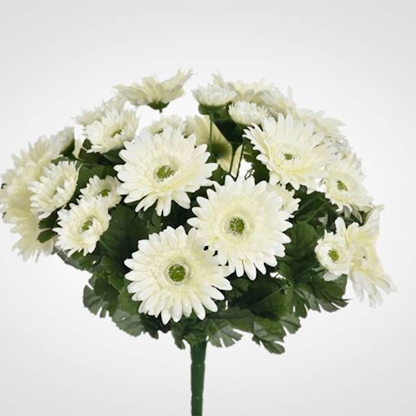 GERBERA BUKIET SUN650 MIX5 MIX KOLOR
