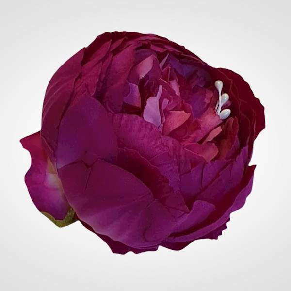 PIWONIA WYROBOWA X12 PURPUROWY