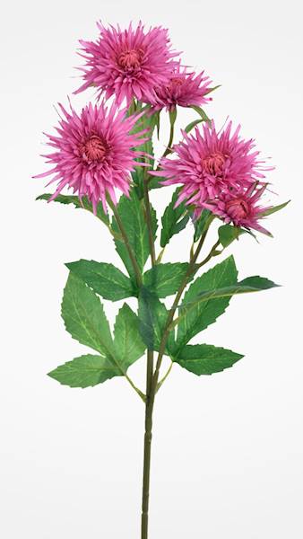 ASTER GAŁĄZKA X24 MIX2 MIX KOLOR