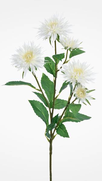 ASTER GAŁĄZKA X24 MIX3 MIX KOLOR