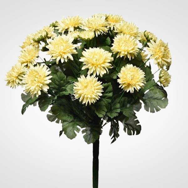 ASTER BUKIET SUN460 MIX4 MIX KOLOR