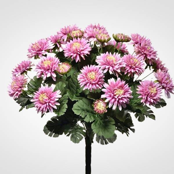 ASTER BUKIET SUN460 MIX4 MIX KOLOR
