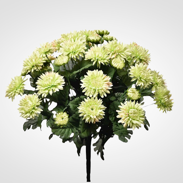 ASTER BUKIET SUN460 MIX3 MIX KOLOR