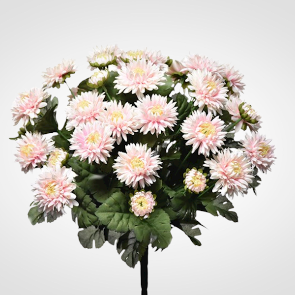 ASTER BUKIET SUN460 MIX3 MIX KOLOR