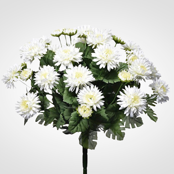 ASTER BUKIET SUN460 MIX3 MIX KOLOR