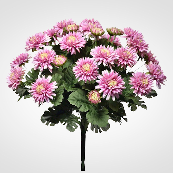 ASTER BUKIET SUN460 MIX3 MIX KOLOR