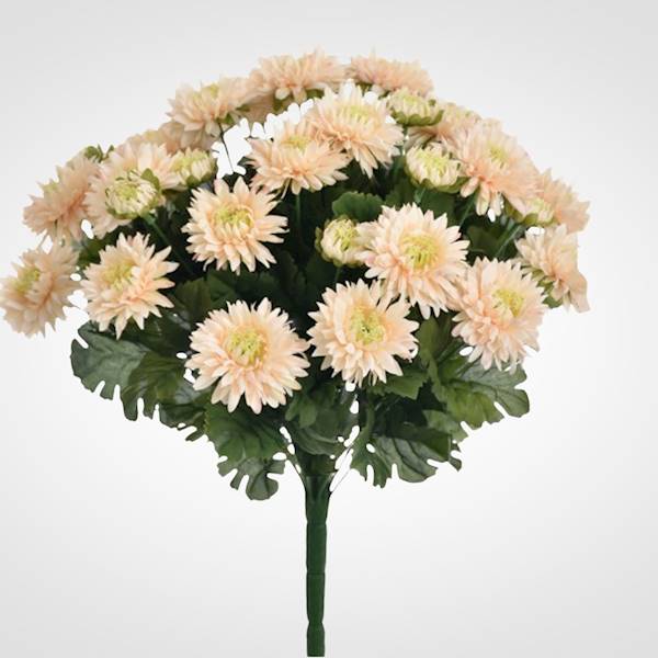 ASTER BUKIET SUN460 MIX5 MIX KOLOR