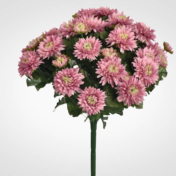 ASTER BUKIET SUN460 MIX5 MIX KOLOR