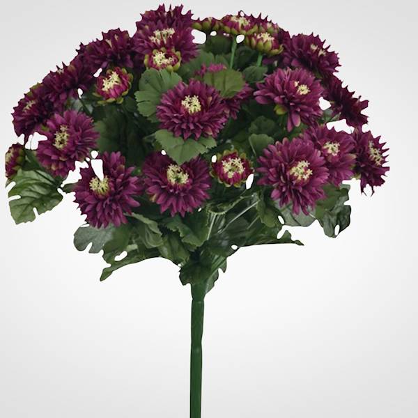 ASTER BUKIET SUN460 MIX5 MIX KOLOR