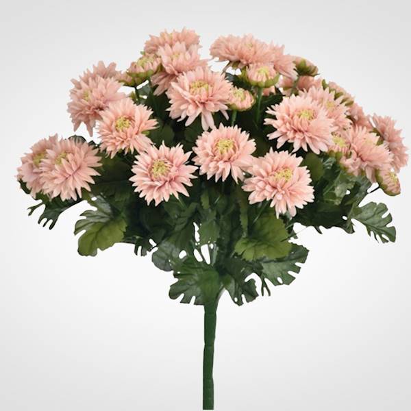 ASTER BUKIET SUN460 MIX5 MIX KOLOR
