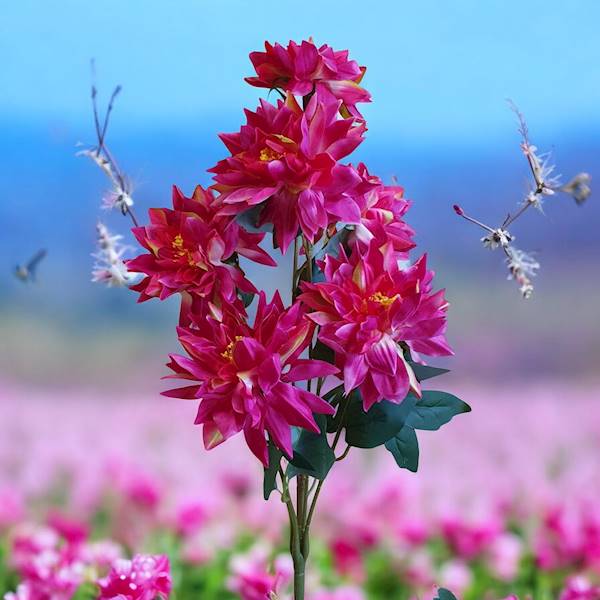 DALIA BUKIET DL030134 MIX KOLOR