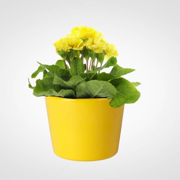 OSŁONKA CERAMIKA 7100313 ŻÓŁTY 12CM