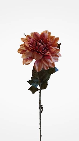 DALIA GAŁĄZKA M93340 MIX KOLOR