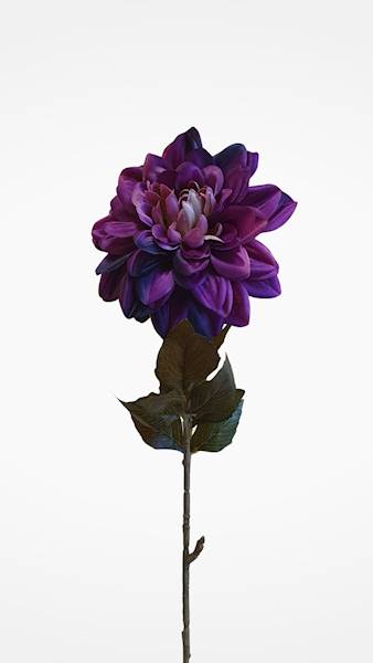 DALIA GAŁĄZKA M93340 MIX KOLOR