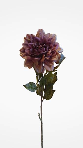 DALIA GAŁĄZKA M93340 MIX KOLOR