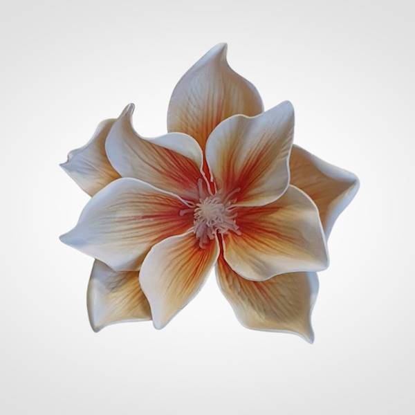 MAGNOLIA X24 IRA140 POMARAŃCZOWY