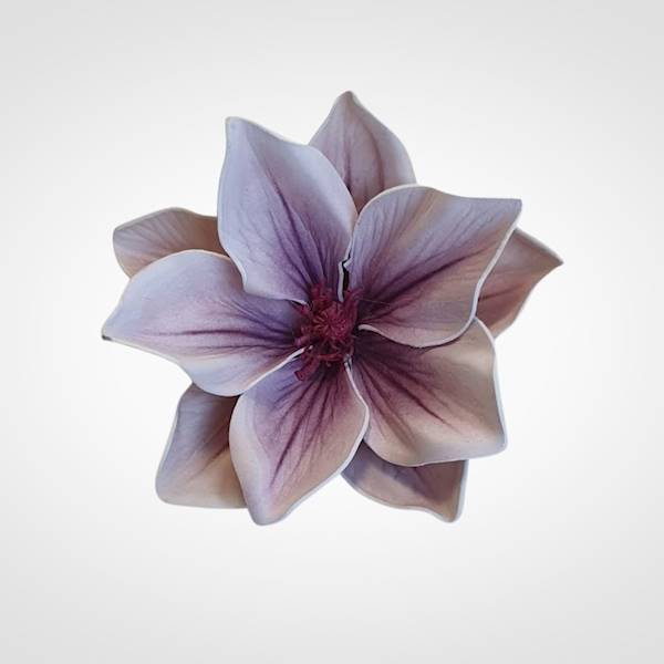 MAGNOLIA X24 IRA140 FIOLETOWY