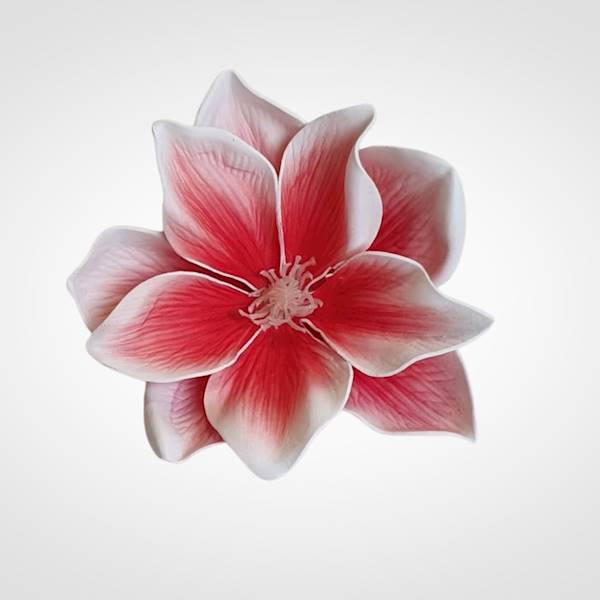 MAGNOLIA X24 IRA140 BIAŁO RÓŻOWY