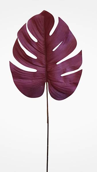 LIŚĆ MONSTERA X12 GS0472 BORDOWY