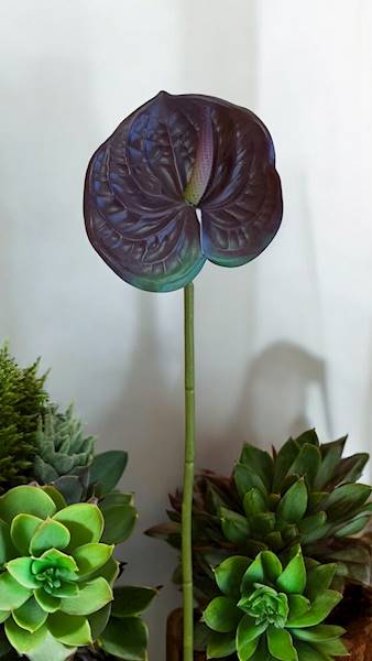 ANTHURIUM GAŁĄZKA GUMOWANE LY0176 BRĄZOWY