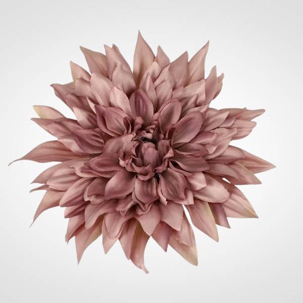 DALIA WYROBOWA X24 PS016537 MIX KOLOR