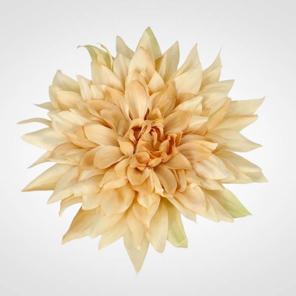 DALIA WYROBOWA X24 PS016537 MIX KOLOR