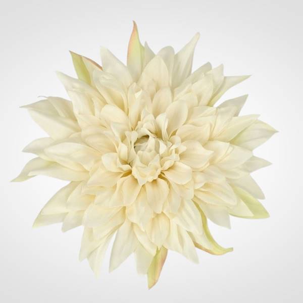 DALIA WYROBOWA X24 PS016537 MIX KOLOR