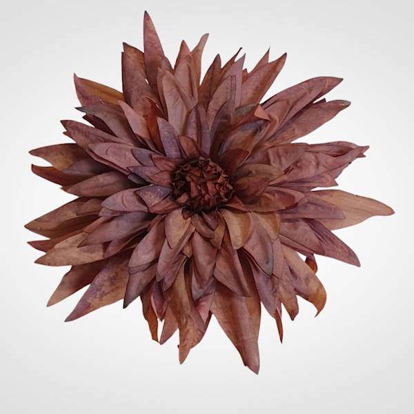 DALIA WYROBOWA X6 TS22A6H MIX KOLOR