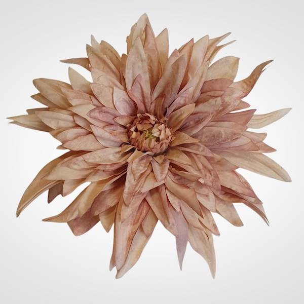 DALIA WYROBOWA X6 TS22A6H MIX KOLOR