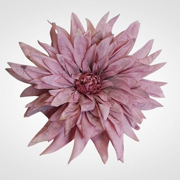 DALIA WYROBOWA X6 TS22A6H MIX KOLOR