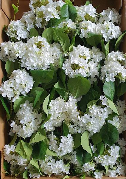 HORTENSJA BUKIET VIP6458 BIAŁY