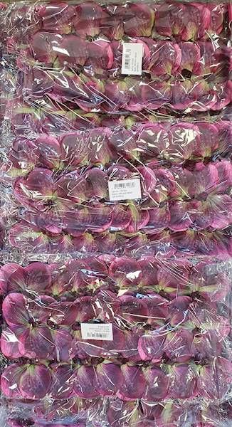 STORCZYK X24 LEV024 PURPUROWY