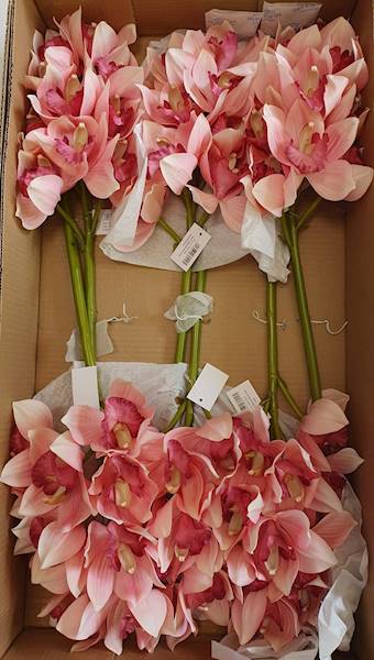 CYMBIDIUM GAŁĄZKA GUMOWANA PAT002 RÓŻOWY