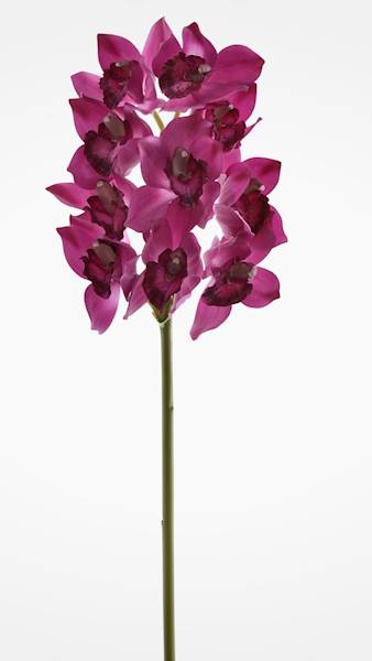CYMBIDIUM GAŁĄZKA GUMOWANA PAT002 FUKSJA
