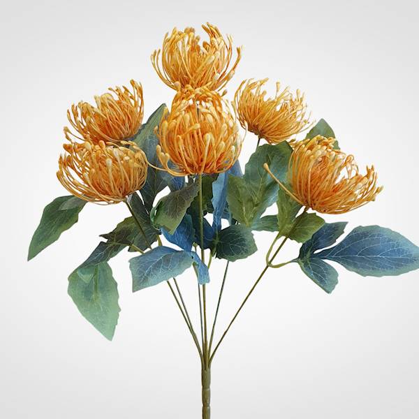 PROTEA BUKIET LY068 MIX KOLOR