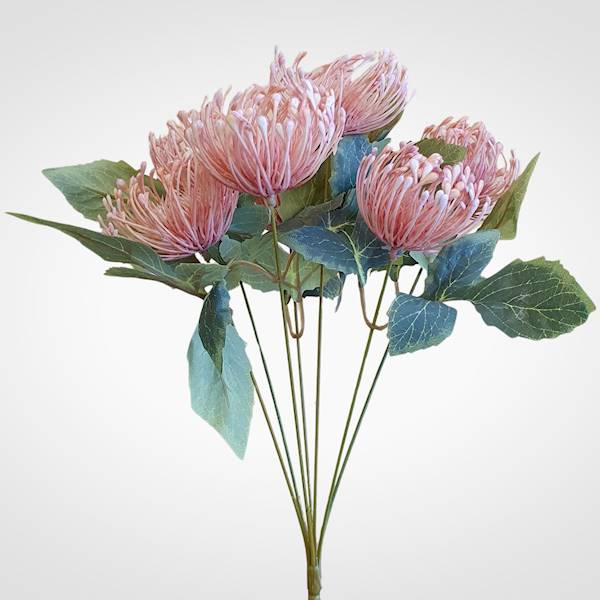 PROTEA BUKIET LY068 MIX KOLOR
