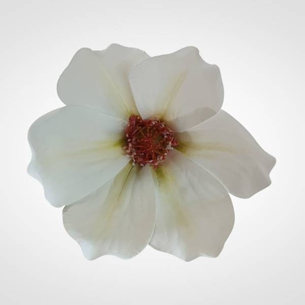 MAGNOLIA X12 WEI1031 BIAŁY