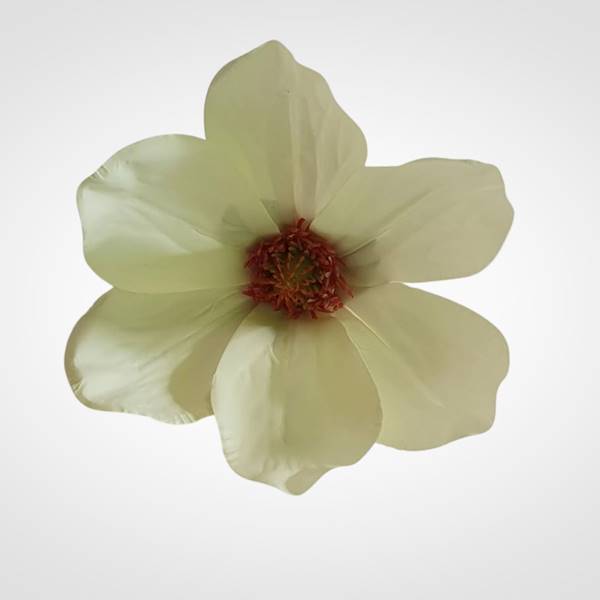 MAGNOLIA X12 WEI1031 KREMOWY