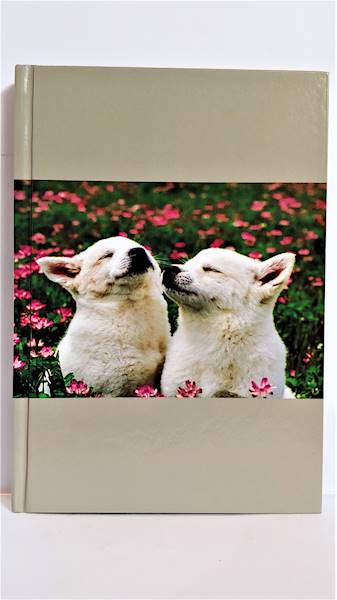 Brulion 96 A5 kratka penword SDM