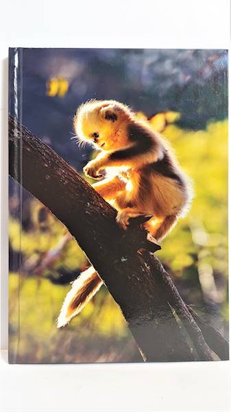 Brulion 96 A5 kratka penword SDM