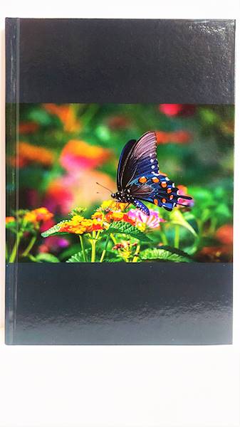 Brulion 96 A5 kratka penword SDM