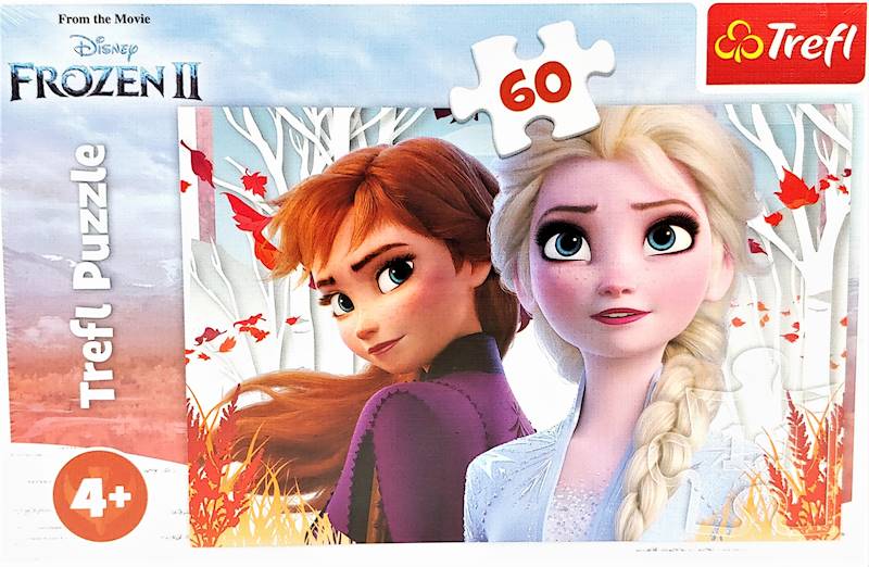 Puzzle 60 Zaczarowany świat Trefl