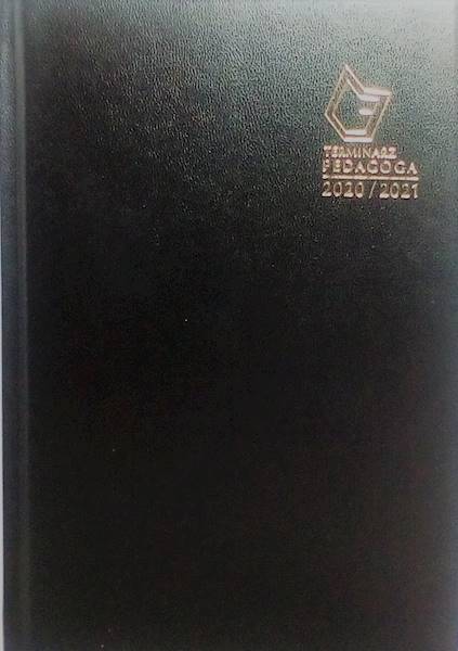 Terminarz Pedagoga T-150V Michalczyk