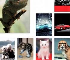 Zeszyt 60 A5 kratka Penword