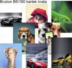 Brulion 160 B5 kratka Penword