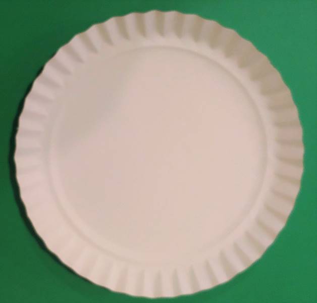 Talerz papierowy fi22 20szt.