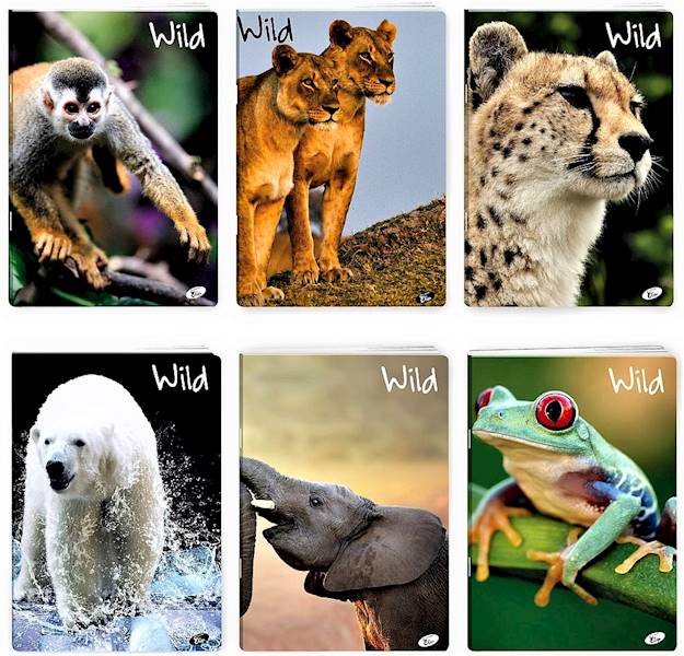 Zeszyt 32 A5 kratka Wild MiP