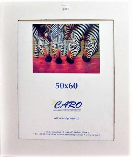 Antyrama 50cm x 60cm plexi