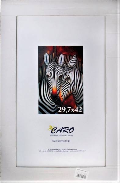 Antyrama 29,7cm x 42cm A3 plexi